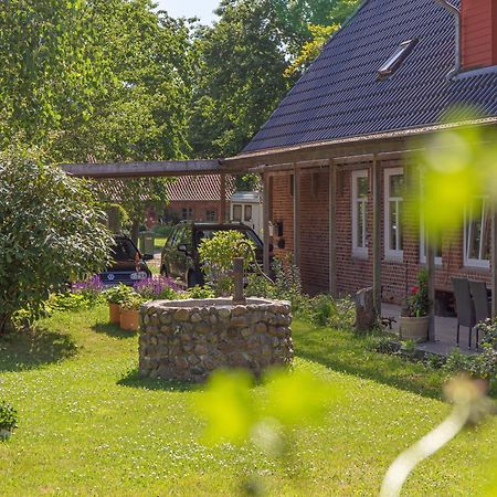 Ferienwohnung Kleiner Und Grosser Stern Stoltebull Ngoại thất bức ảnh